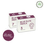blue elite indica