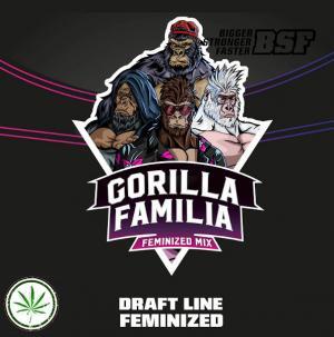 gorilla familia 1