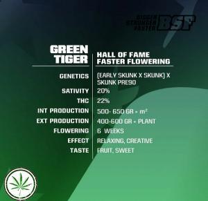 green tigerinfo